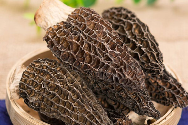 孕婦感冒可以吃羊肚菌嗎