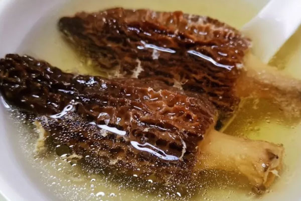 什么羊肚菌湯適合小孩子喝