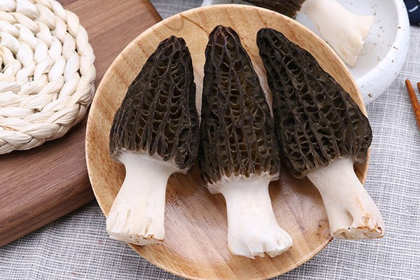 新鮮種植羊肚菌多少錢一斤