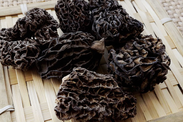 野生干品羊肚菌多少錢一斤