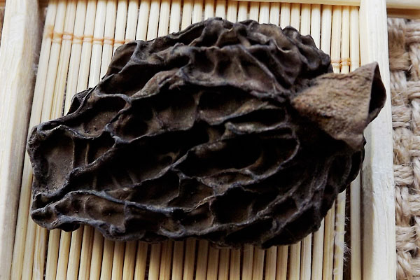 不同渠道購買干羊肚菌價(jià)格不同