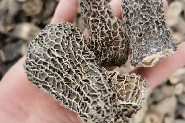 羊肚菌泡酒每次喝多少最好