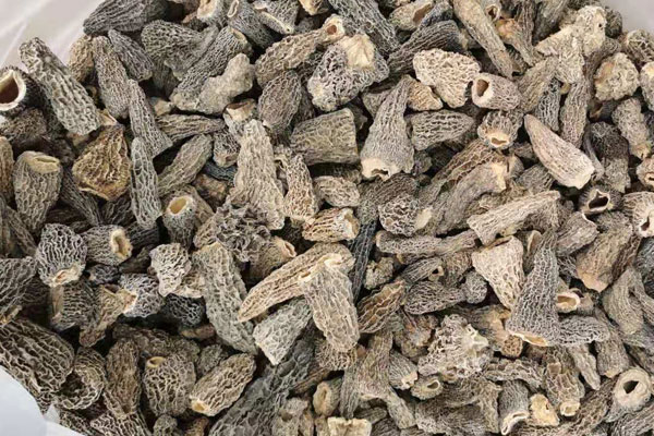 羊肚菌泡酒的方法