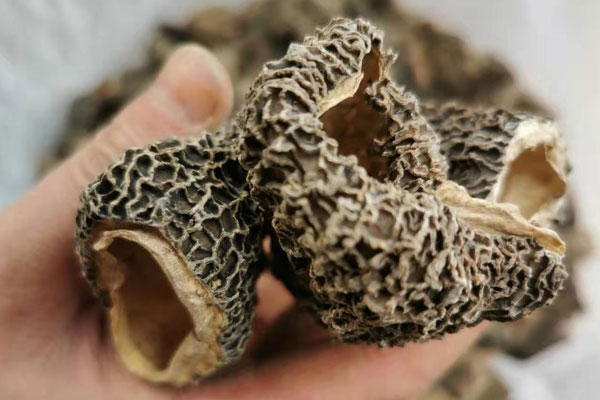 羊肚菌泡酒的用量