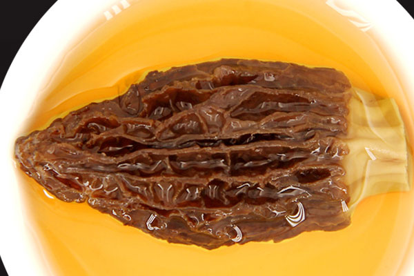 干羊肚菌的泡發(fā)方法