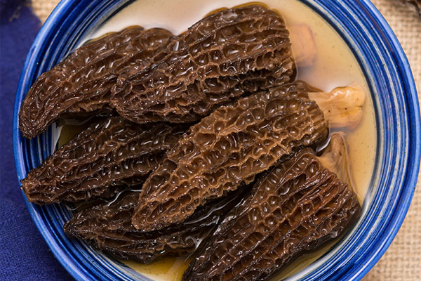 干羊肚菌冷水泡好還是熱水泡好