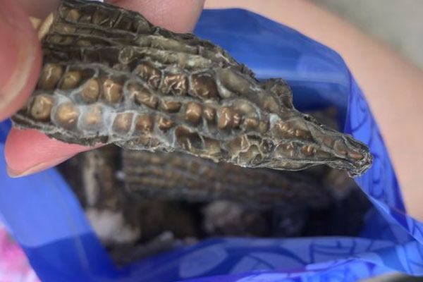 羊肚菌表面有白色的是發(fā)霉了嗎