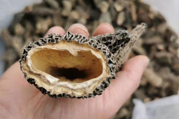 干羊肚菌泡過(guò)夜了可以吃嗎