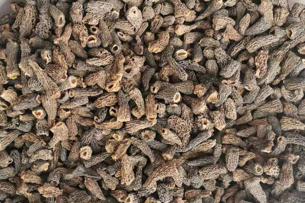 干羊肚菌泡了幾天了可不可以吃