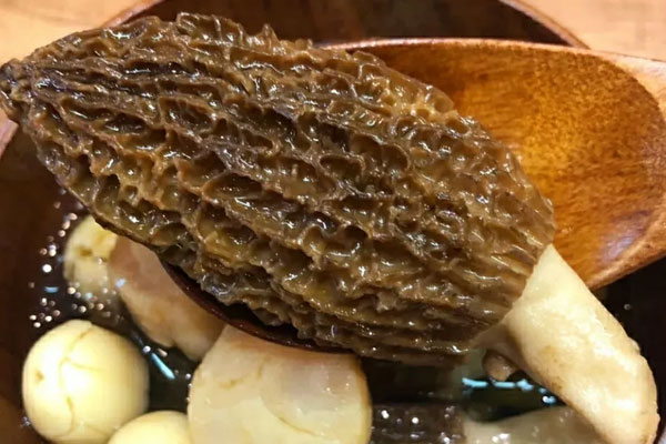 羊肚菌鯉魚湯的食用禁忌