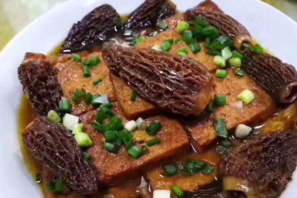 羊肚菌燒豆腐的營養(yǎng)價(jià)值與功效作用