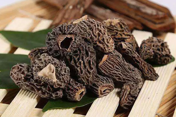 發(fā)了霉的羊肚菌還可以吃嗎