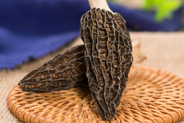 干羊肚菌長(zhǎng)蟲了怎么辦 干羊肚菌長(zhǎng)蟲了怎么辦