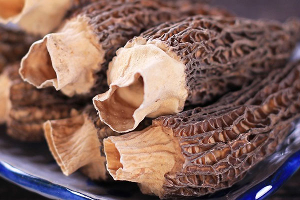 干羊肚菌長(zhǎng)蟲的原因 干羊肚菌長(zhǎng)蟲的原因