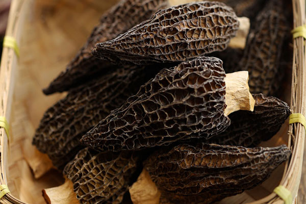 長了蟲的干羊肚菌還可以吃嗎 長了蟲的干羊肚菌還可以吃嗎