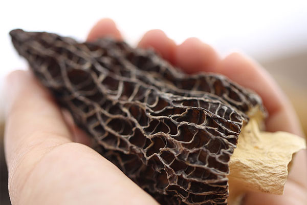 干羊肚菌怎么保存好 干羊肚菌怎么保存好