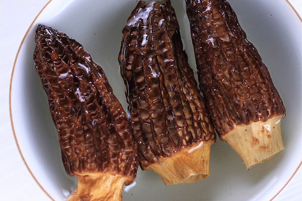 干羊肚菌泡發(fā)隔夜了還能吃嗎