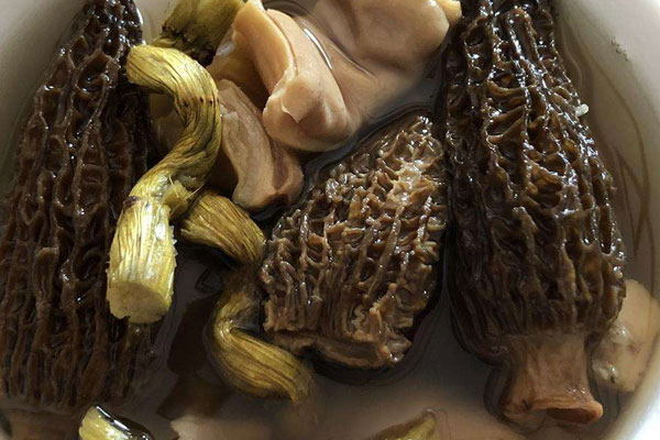 羊肚菌燉湯隔夜能吃嗎