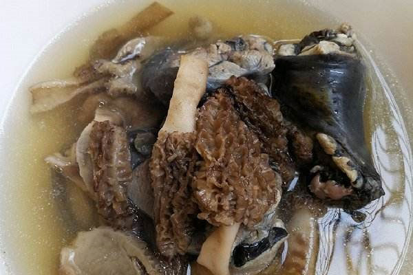 新鮮羊肚菌燉湯最佳做法