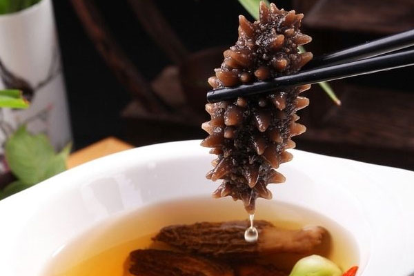 羊肚菌海參雞湯的食用禁忌