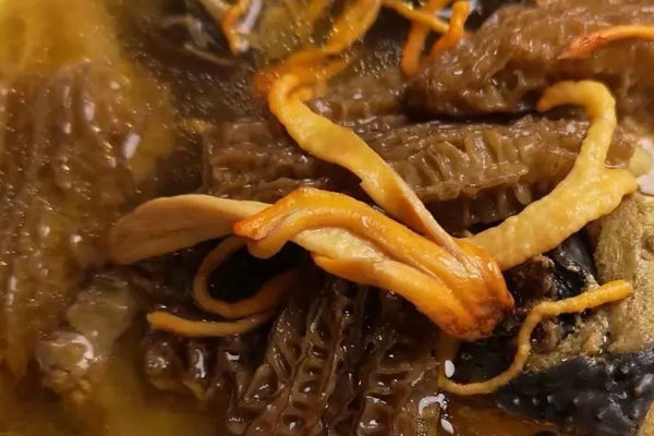 羊肚菌蟲草花煲雞湯怎么做才好吃