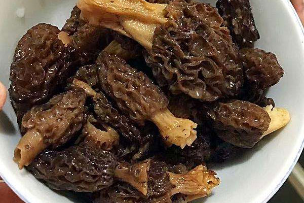 爆炒羊肚菌的食用禁忌