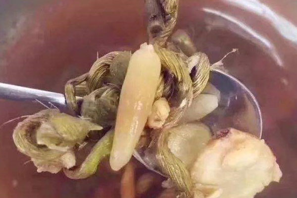 羊肚菌麥冬石斛瘦肉湯的功效作用與營養(yǎng)價(jià)值