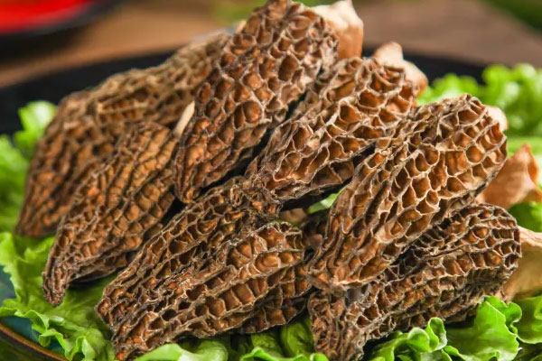 羊肚菌真的是越大越好嗎