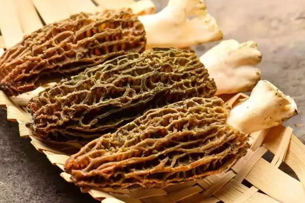 患有高血壓的人群可以吃羊肚菌嗎