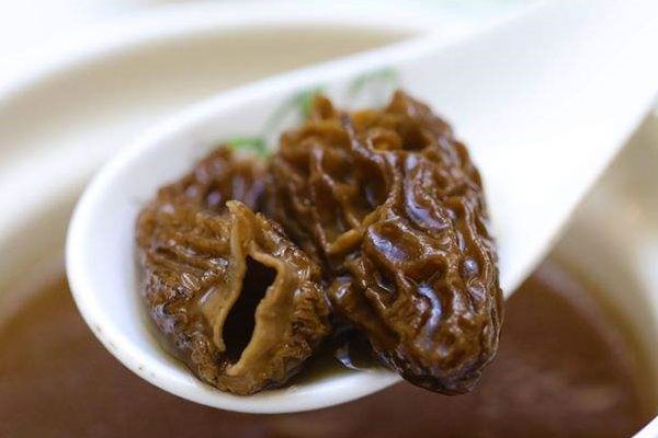 羊肚菌可以降血壓嗎