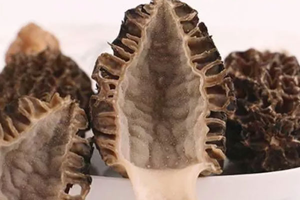 人工種植的羊肚菌什么時候有