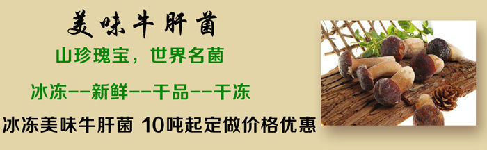 美味牛肝菌