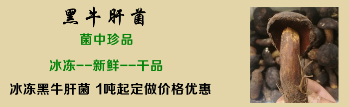 黑牛肝菌