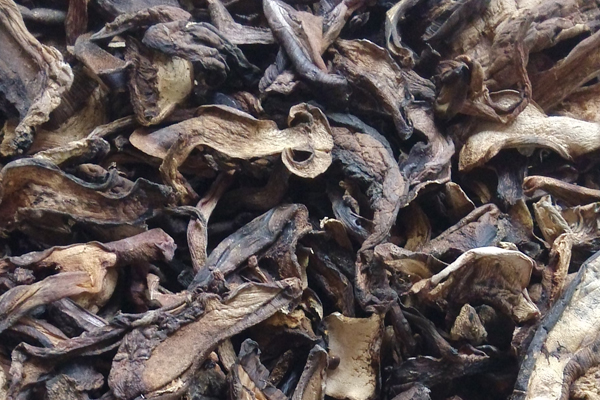 干黑牛肝菌價(jià)格