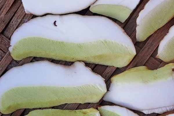 放了四年的干牛肝菌還能吃嗎