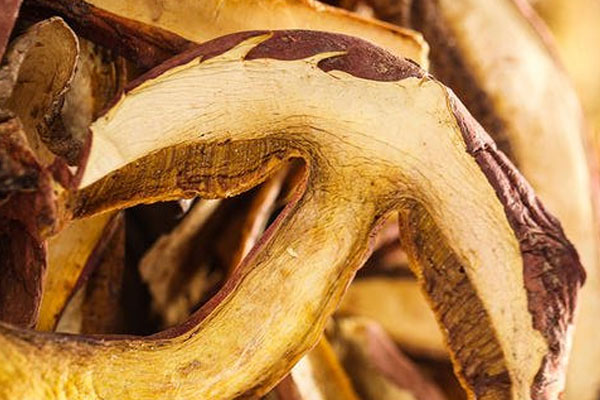 干牛肝菌過期了能吃嗎