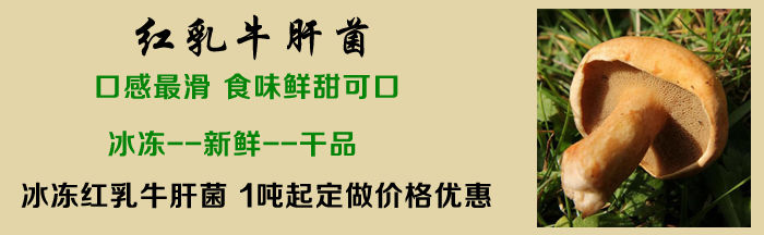 紅乳牛肝菌
