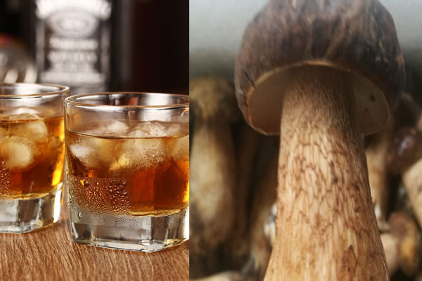 喝酒可以吃牛肝菌嗎