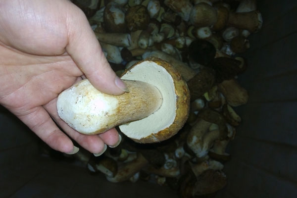 我們?cè)诔耘８尉⒁饽男┓矫? src=