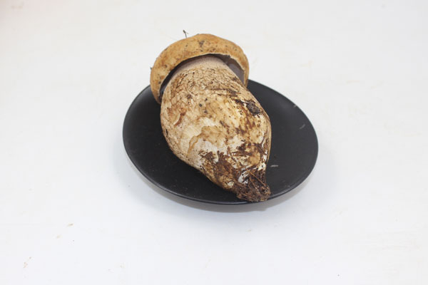 牛肝菌的熱量有多少，高嗎