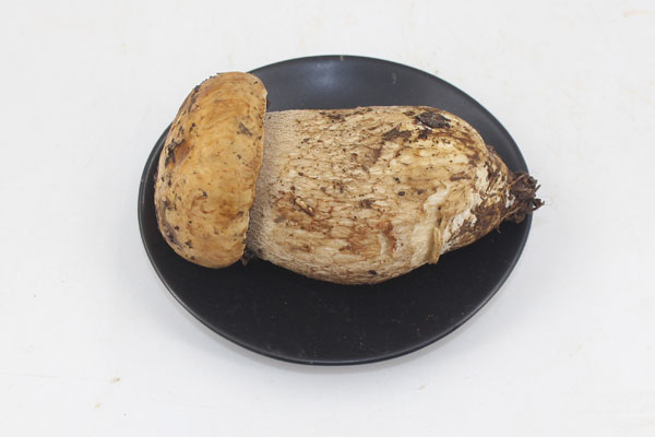 吃牛肝菌可以達(dá)到減肥的效果嗎