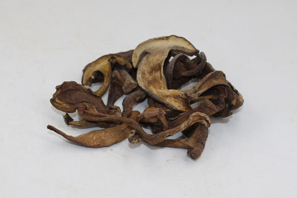 經(jīng)常吃牛肝菌可以嗎