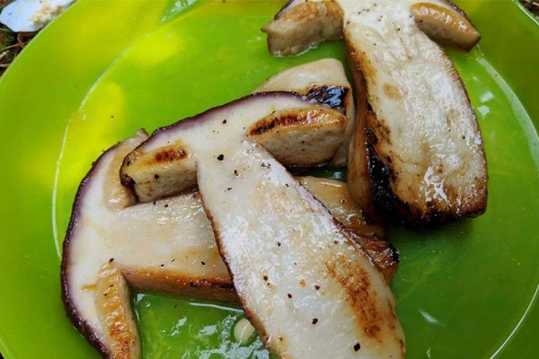 香煎冰凍牛肝菌怎么做才好吃