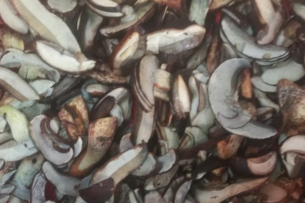 新鮮黑牛肝菌煮多久最合適