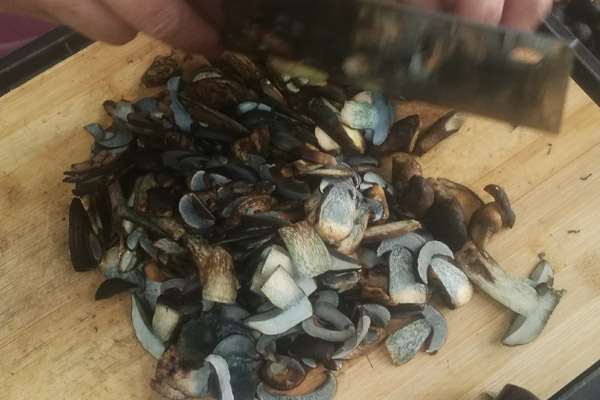 痛風(fēng)病人能吃牛肝菌嗎