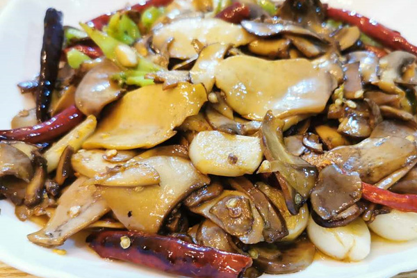 干椒白牛肝菌的做法，白叢牛肝菌怎么吃最好