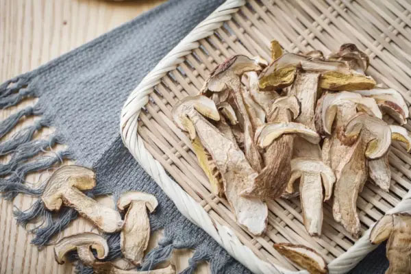 牛肝菌怎么烘干，新鮮牛肝菌烘干方法有哪些