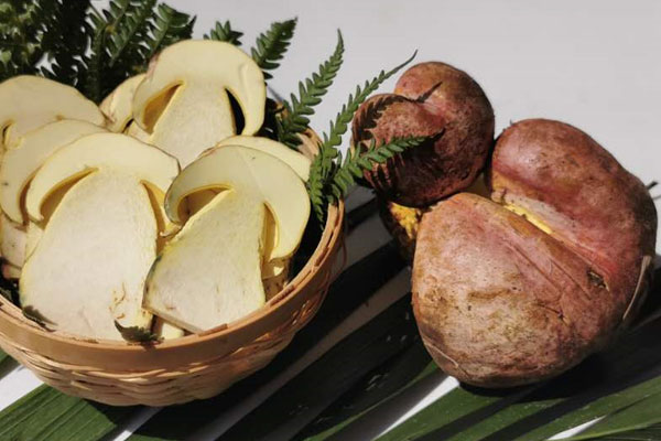 怎么看新鮮牛肝菌的好壞