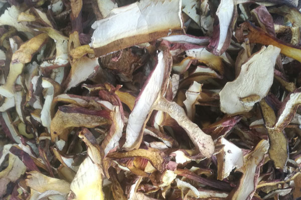 上火可以喝的牛肝菌湯