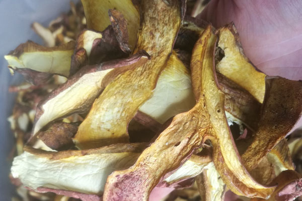 什么品種的牛肝菌吃起來細(xì)滑